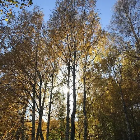 Σαλέ Sanmari_forest Ledenice